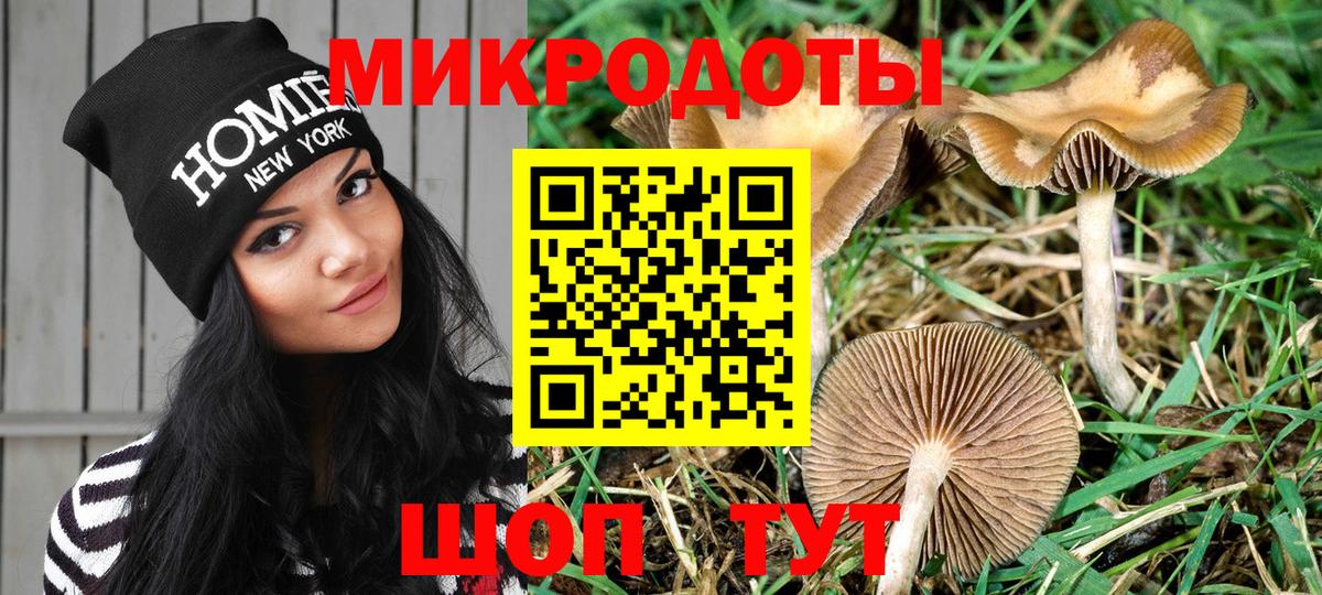 Галлюциногенные грибы прущие грибы Владивосток